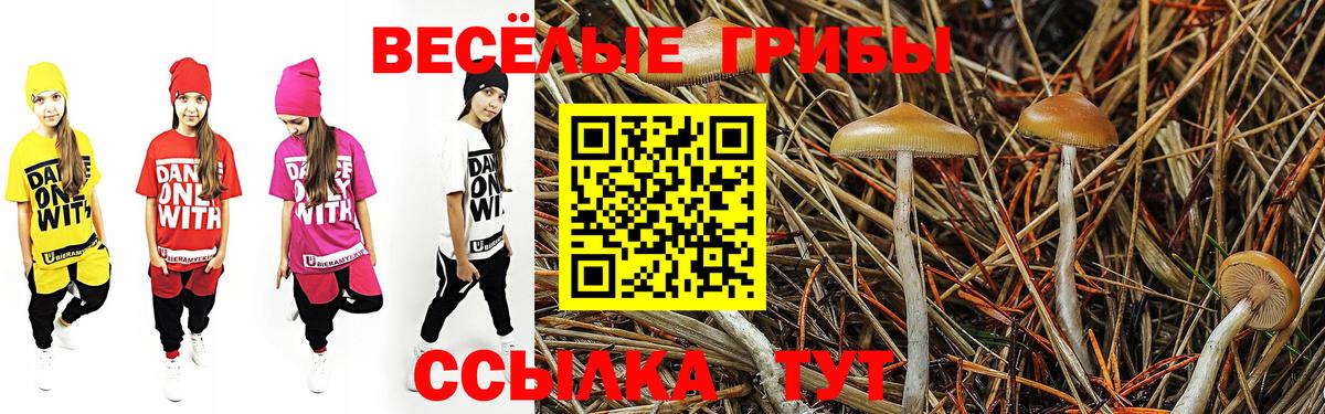 Псилоцибиновые грибы MAGIC MUSHROOMS Электросталь