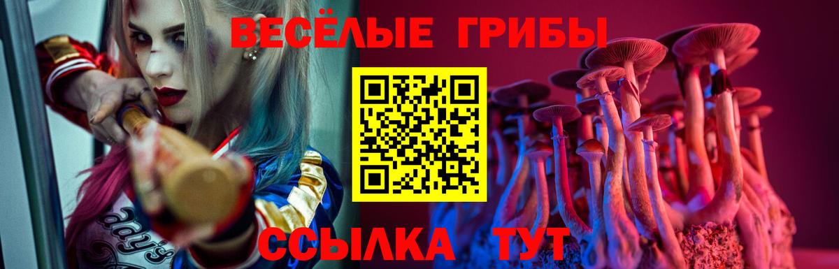 Галлюциногенные грибы GOLDEN TEACHER  Вход с VPN  Электросталь  наркошоп  Псилоцибиновые грибы Magic Shrooms 